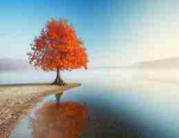 图﻿片﻿爬﻿虫‌app